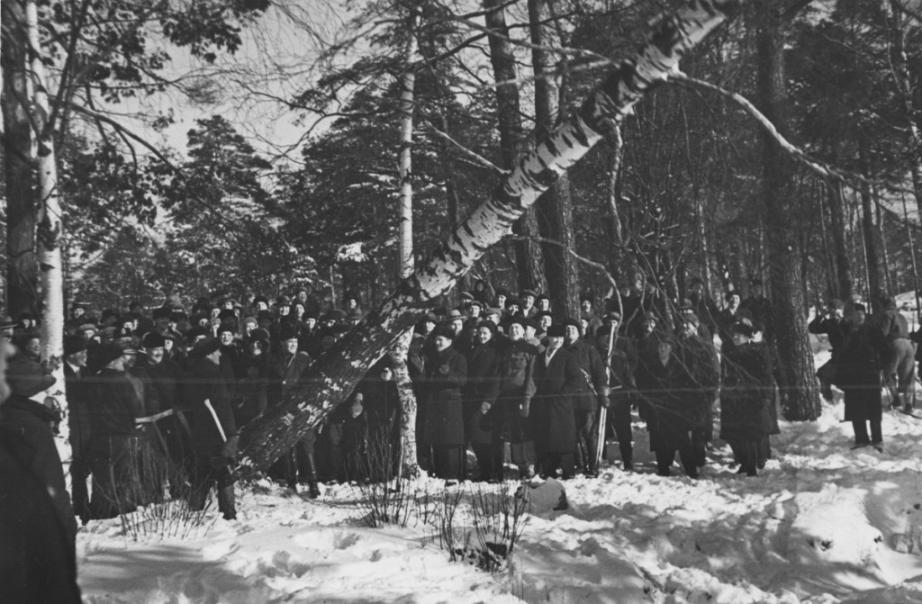 0596decb-2078-46e8-9956-308fd0801581