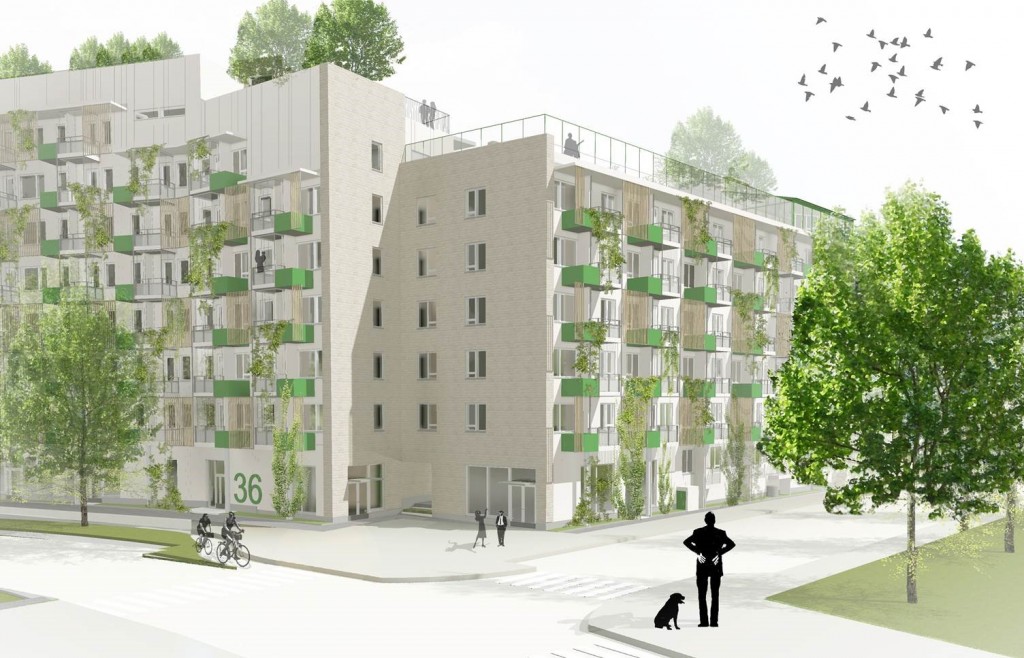 vihreistä_vihrein_kuva2