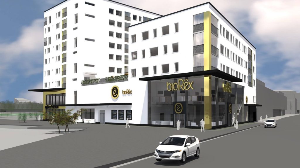 30729844_598298177193633_5977045513256566784_o